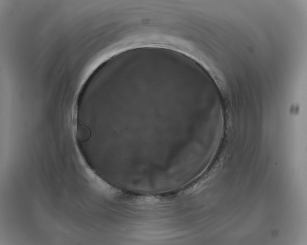 X0000096971515200802291109