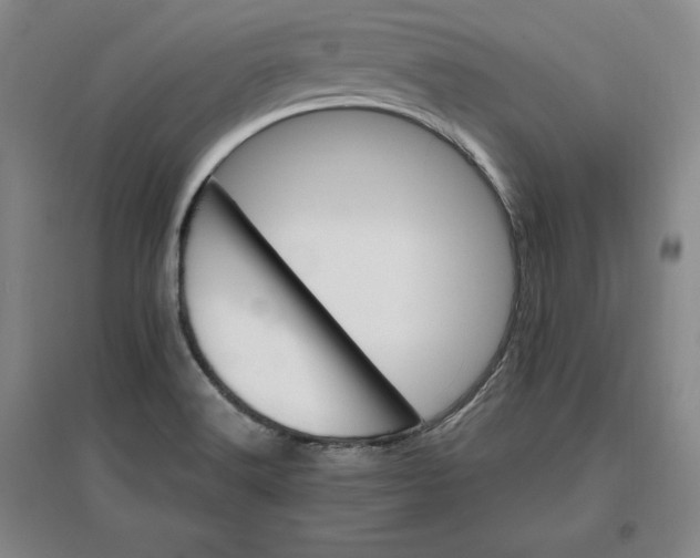 X0000096971516200802291109