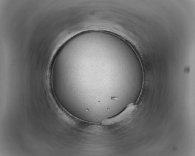 X0000096971517200802291109