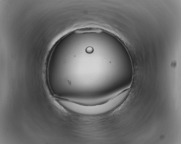 X0000096971518200802291109