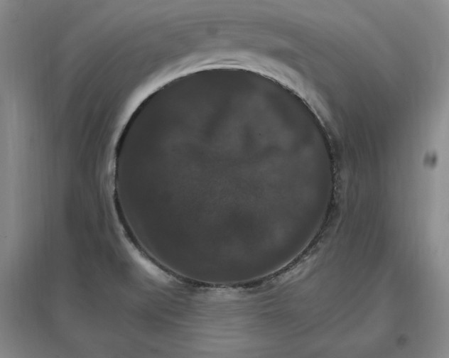 X0000096971519200802291109