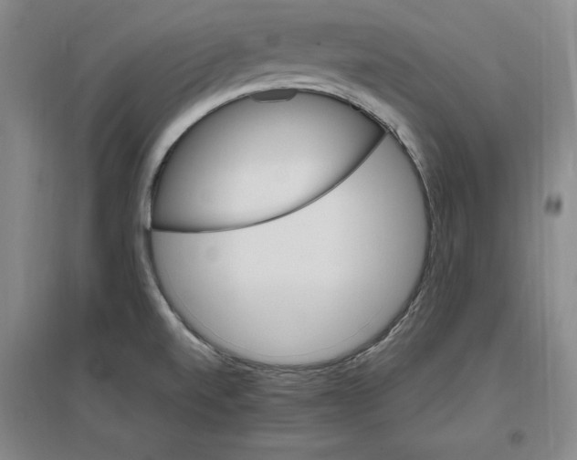 X0000096971520200802291109