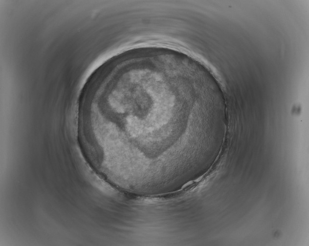 X0000096971522200802291109