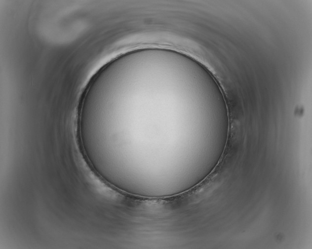 X0000096971523200802291109