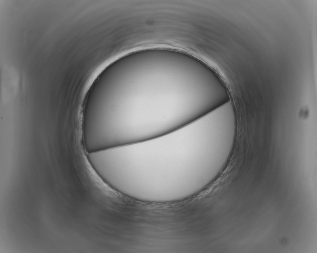 X0000096971524200802291109