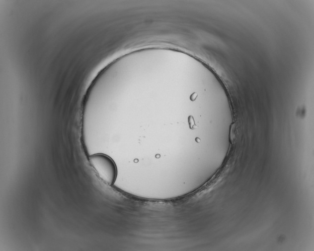 X0000096971526200802291109