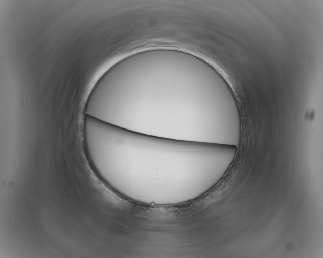 X0000096971527200802291109