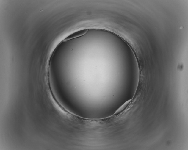 X0000096971528200802291109