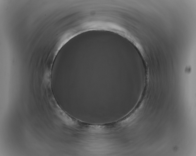 X0000096971529200802291109