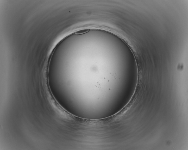 X0000096971530200802291109