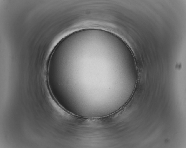 X0000096971531200802291109