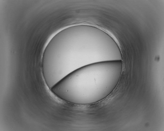 X0000096971532200802291109