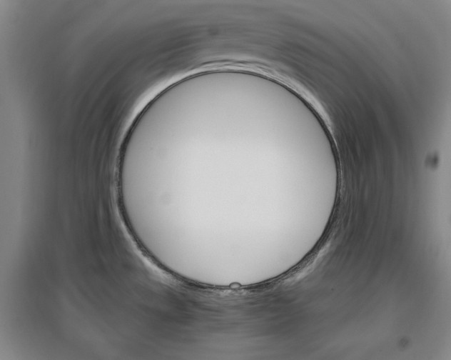 X0000096971533200802291109