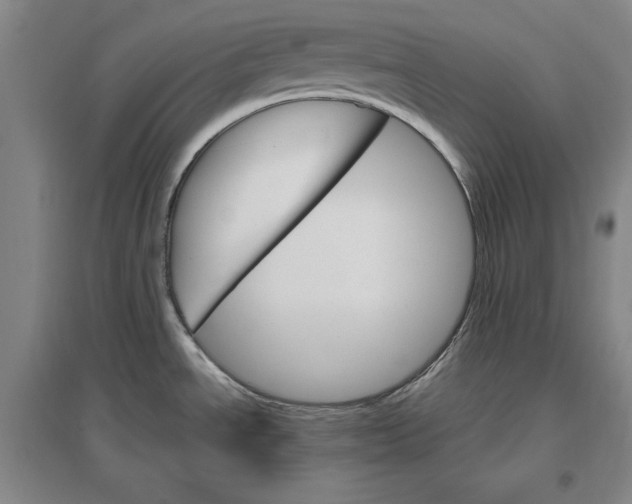 X0000096971534200802291109