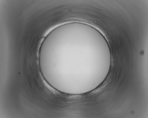 X0000096971535200802291109