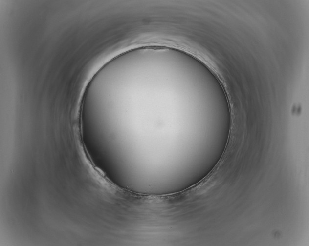 X0000096971536200802291109