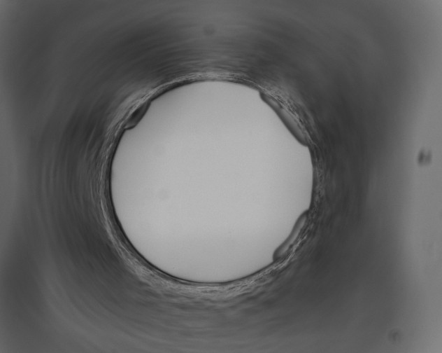 X0000096970001200803071017