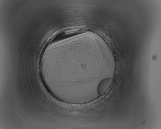 X0000096970002200803071017