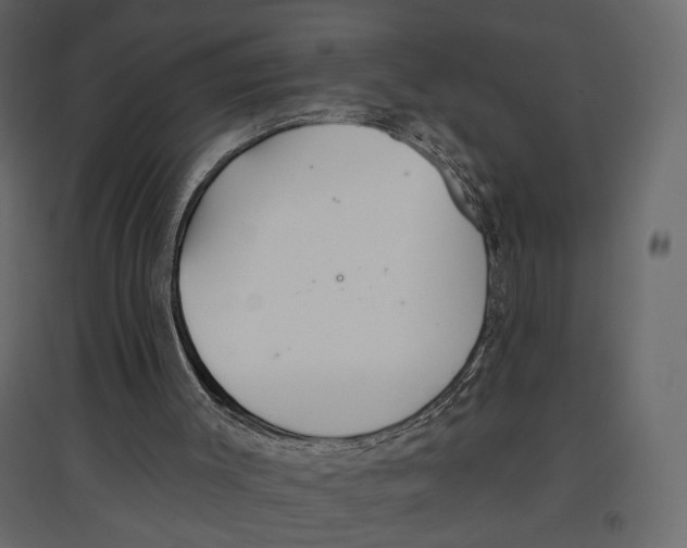 X0000096970003200803071017