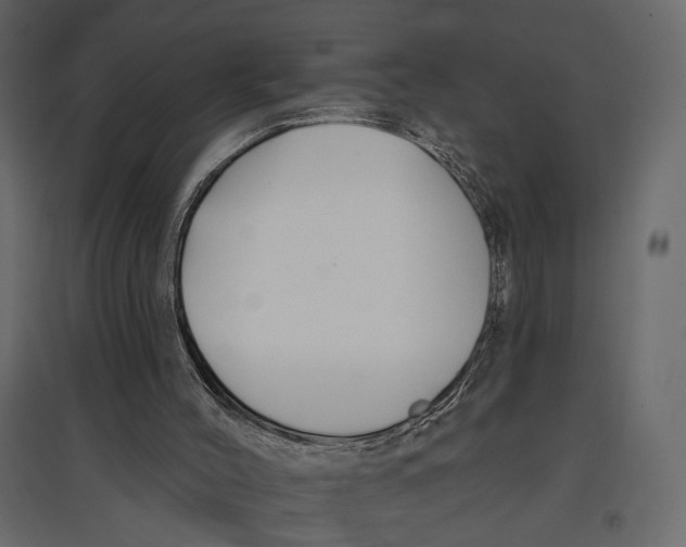 X0000096970004200803071017