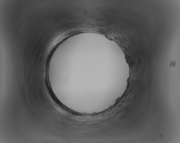 X0000096970005200803071017