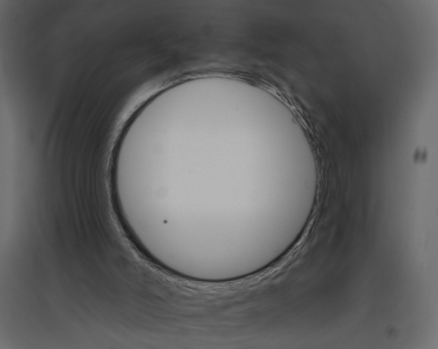 X0000096970006200803071017