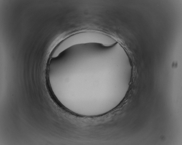 X0000096970007200803071017