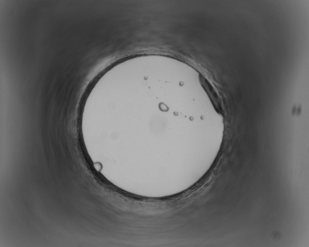 X0000096970008200803071017