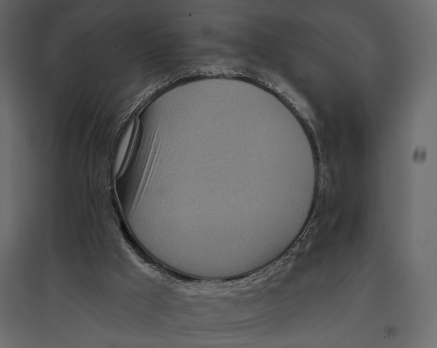 X0000096970009200803071017