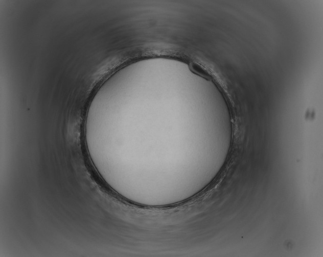 X0000096970010200803071017