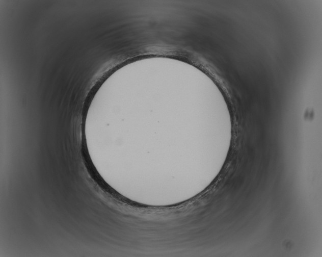 X0000096970011200803071017