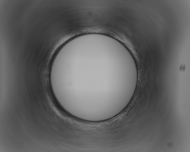 X0000096970012200803071017