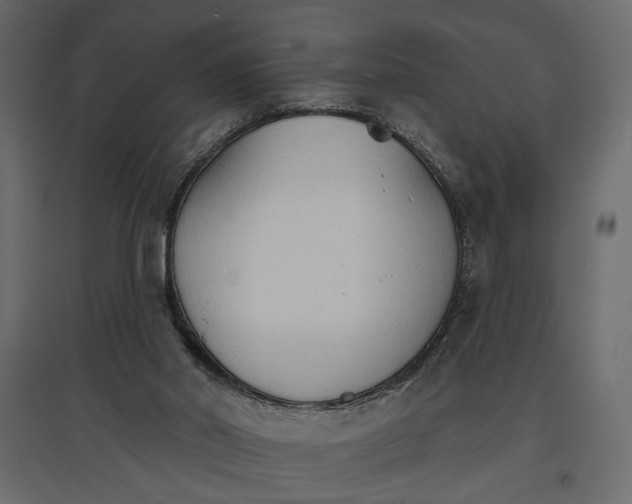 X0000096970014200803071017