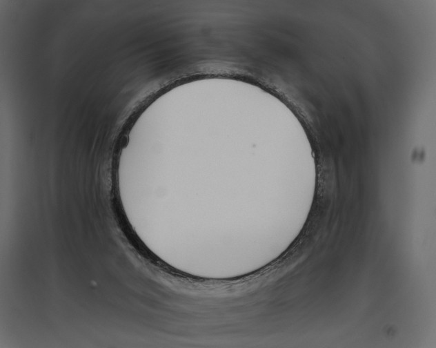 X0000096970015200803071017