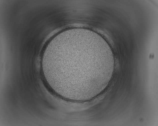 X0000096970016200803071017