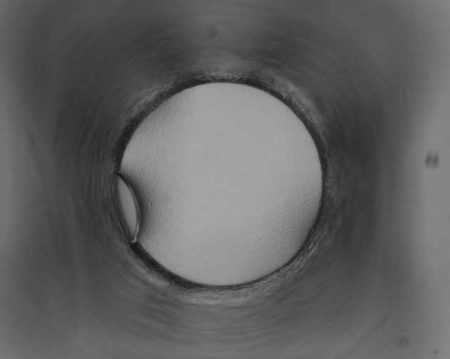 X0000096970017200803071017