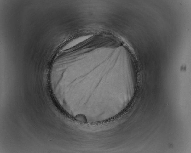 X0000096970018200803071017