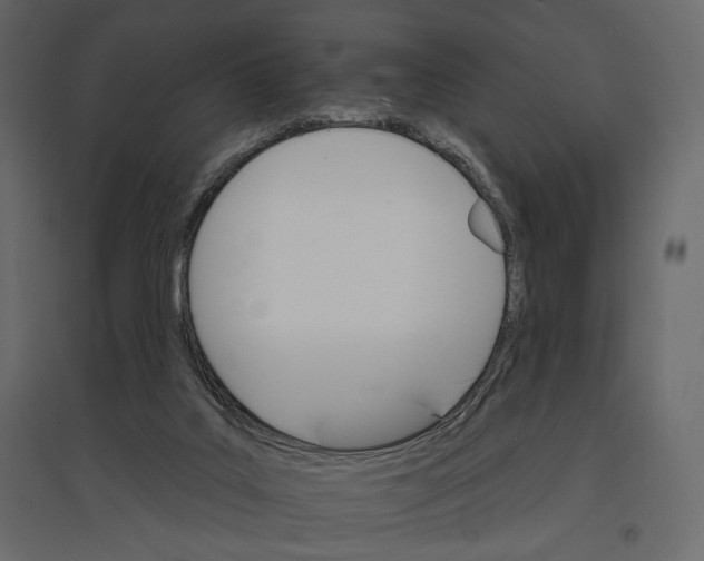 X0000096970019200803071017