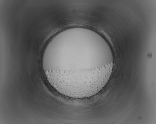 X0000096970020200803071017