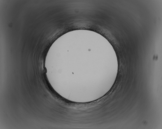 X0000096970021200803071017