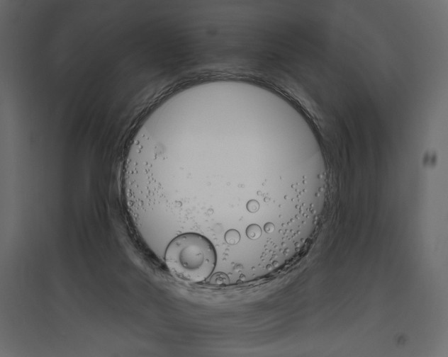 X0000096970022200803071017