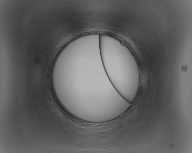 X0000096970023200803071017
