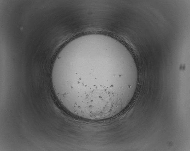 X0000096970024200803071017