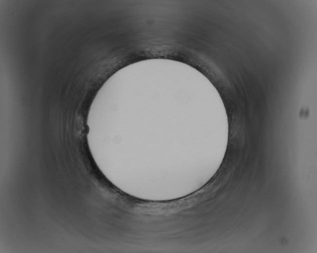 X0000096970025200803071017