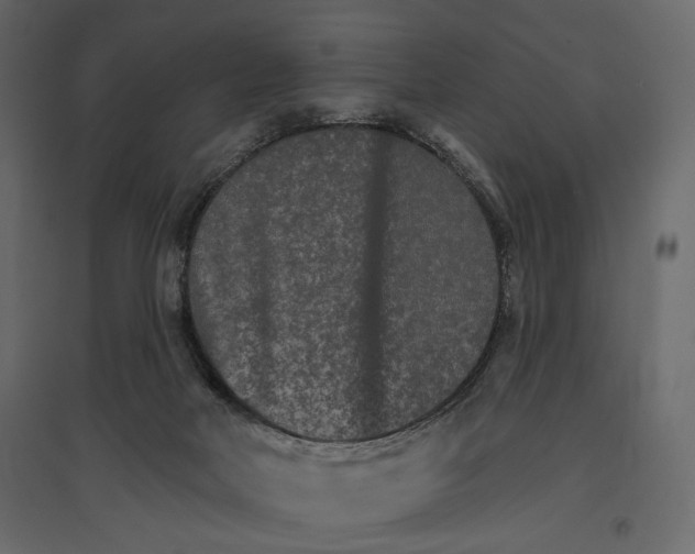 X0000096970026200803071017