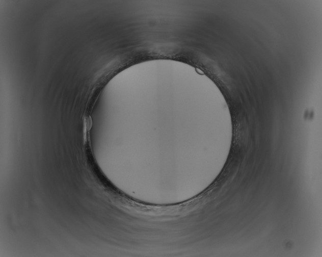 X0000096970027200803071017