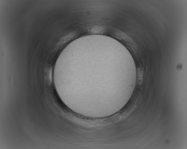 X0000096970028200803071017