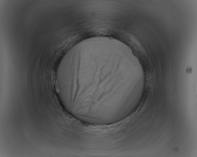 X0000096970029200803071017