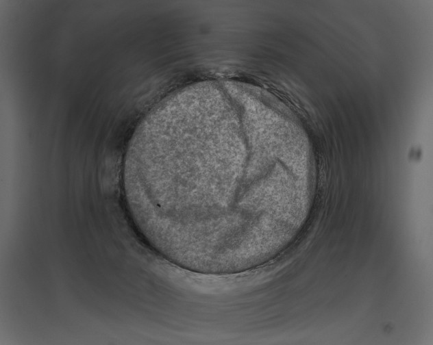 X0000096970030200803071017