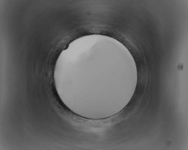 X0000096970031200803071017